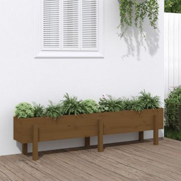 vidaXL Strat înălțat de grădină maro miere 160x30x38 cm lemn masiv pin