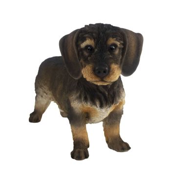 Esschert Design Statueta caine Wirehaired Dachshund, 50x15x27,8 cm