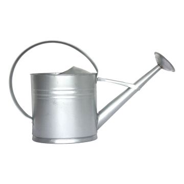 Stropitoare din metal 10 l – Esschert Design