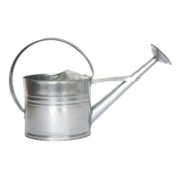 Stropitoare din metal 8 l – Esschert Design