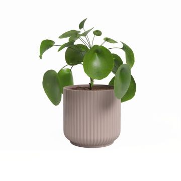 Ghiveci din ceramică ø 19 cm Luna – Artevasi