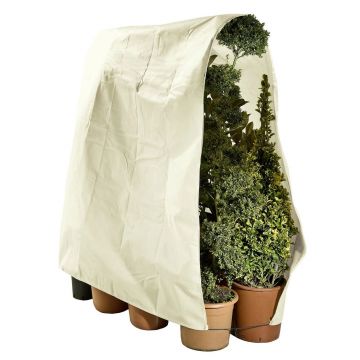Prelata pentru protectia plantelor Maximex, Plant, 240x200 cm, polipropilena, bej