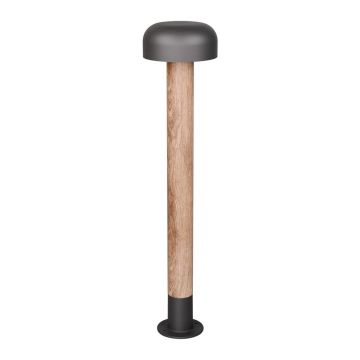 Corp de iluminat pentru exterior cu stâlp de fixare ø 19 cm Fraser – Trio