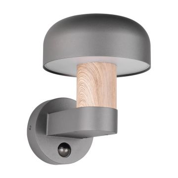 Corp de iluminat pentru exterior, de perete (Ã®nÄu0083lÈu009Bime 24,5 cm) Fraser âu0080Trio