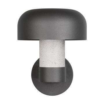 Corp de iluminat pentru exterior, de perete (înălțime 24,5 cm) Fraser – Trio