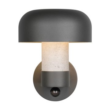 Corp de iluminat pentru exterior, de perete (înălțime 24,5 cm) Fraser – Trio