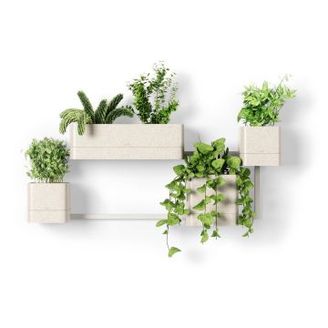 Ghivece 4 buc. din plastic pentru ierburi aromatice, de agățat, de perete Cubiko – Umbra