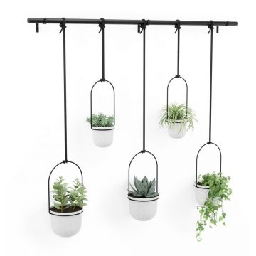 Ghivece decorative 5 buc. din plastic pentru ierburi aromatice/de agățat / de perete ø 7,5 cm Triflora – Umbra