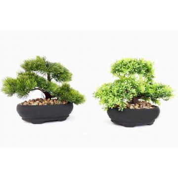 BONSAI