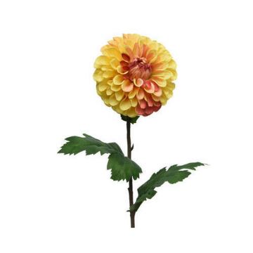 FLOARE DECORATIVĂ