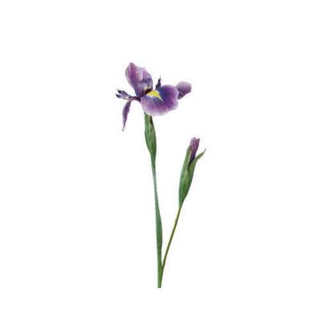 FLOARE DECORATIVĂ