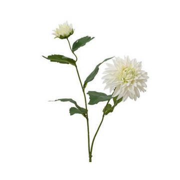 FLOARE DECORATIVĂ
