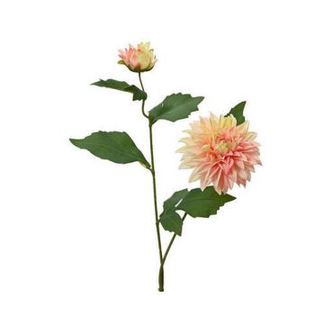 FLOARE DECORATIVĂ