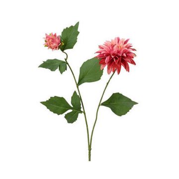 FLOARE DECORATIVĂ
