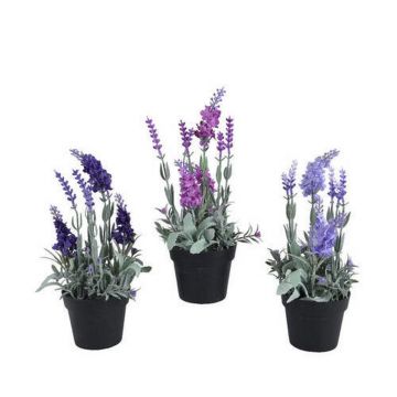 FLOARE DECORATIVĂ