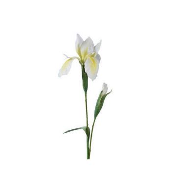 FLOARE DECORATIVĂ