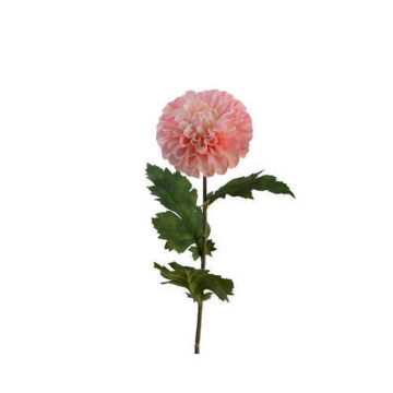 FLOARE DECORATIVĂ