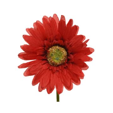 GERBERA