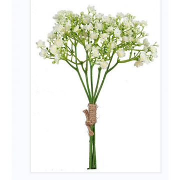 GYPSOPHILA