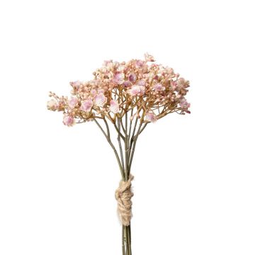 GYPSOPHILA