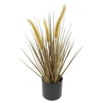 IARBĂ DECORATIVĂ
