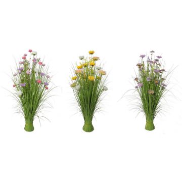 IARBĂ DECORATIVĂ