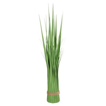 IARBĂ DECORATIVĂ