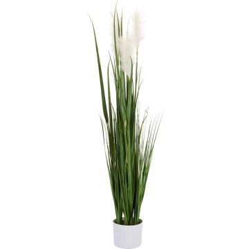 IARBĂ DECORATIVĂ